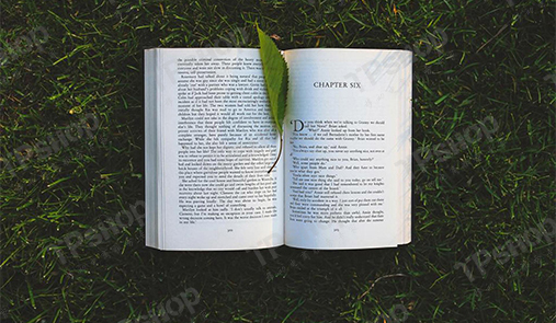 怎么建網上商城？你會了嘛