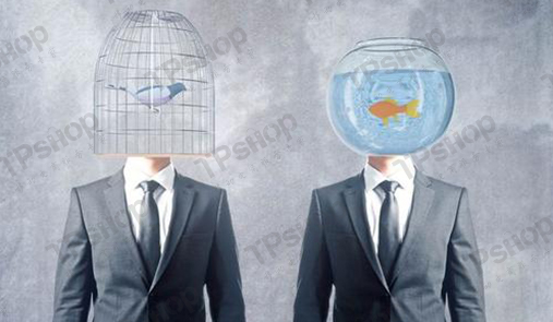 多用戶商城網(wǎng)站建設(shè)你了解多少？