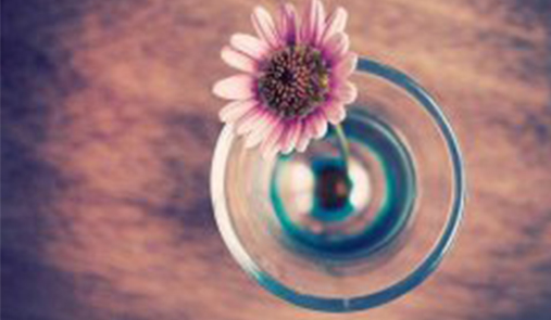 APP移動(dòng)商城網(wǎng)站能夠給企業(yè)帶來什么好處？